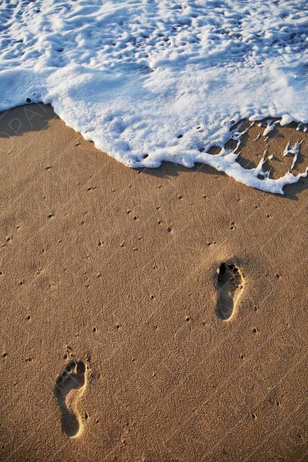 footprints on the beach on a sunny morning