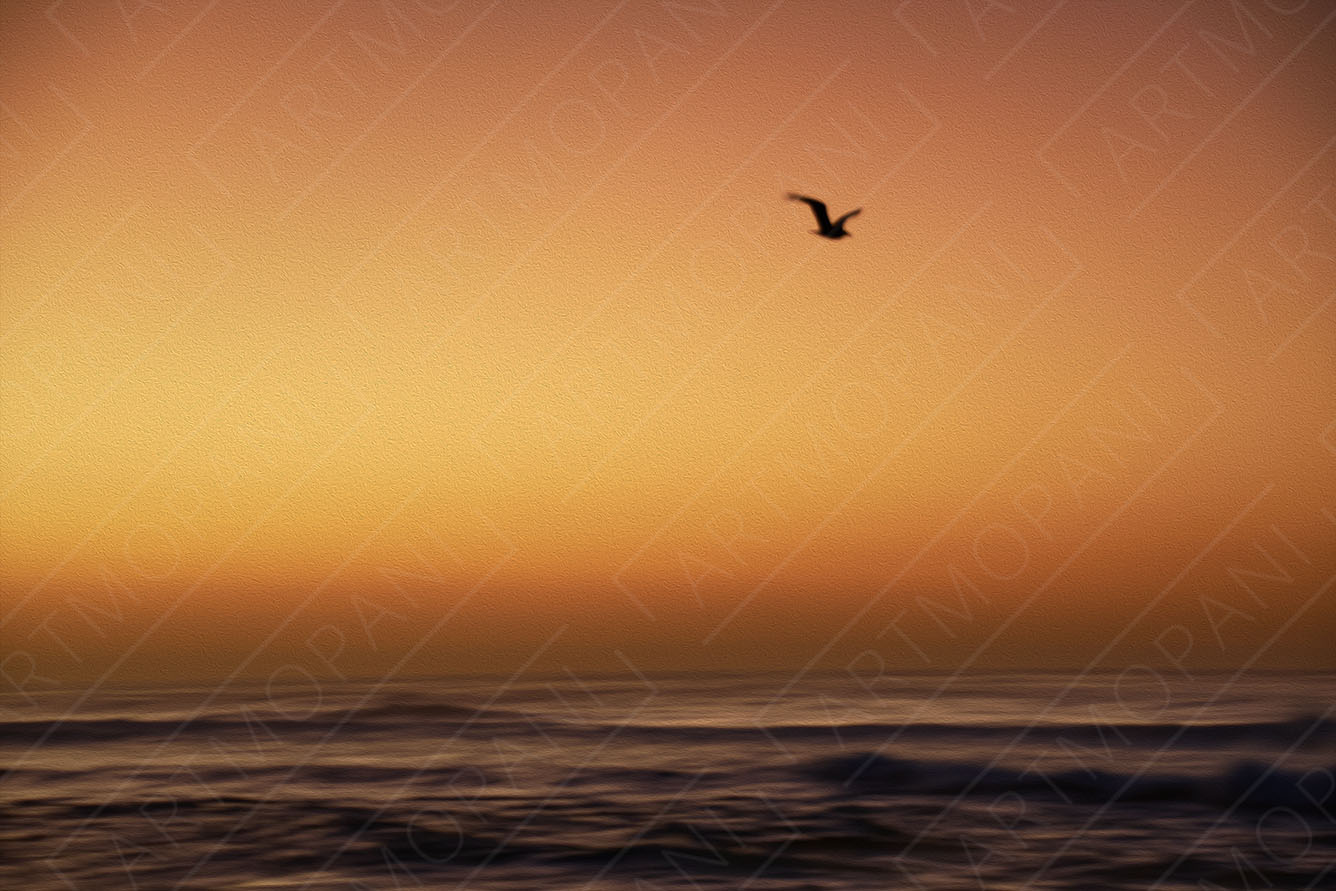 a lonely bird flying over the ocean