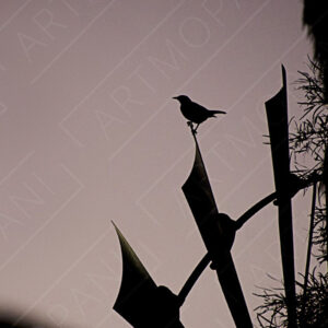 silhouette of a bird sitting on a windmill