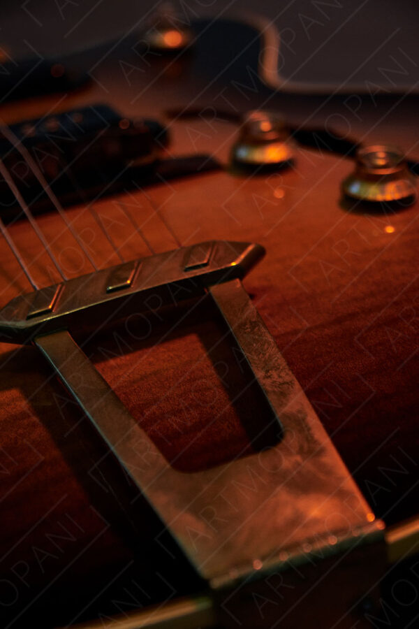 vintage hollow body guitar in moody warm light