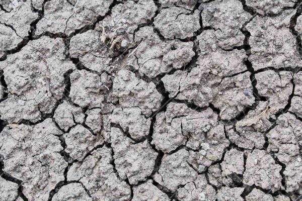 barren dried up cracked soil