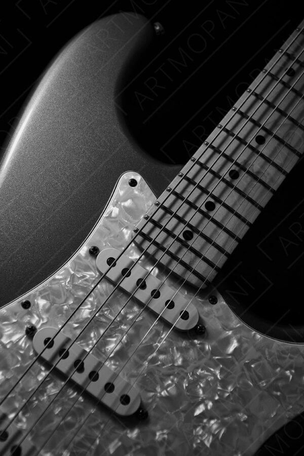 electric guitar body in black and white