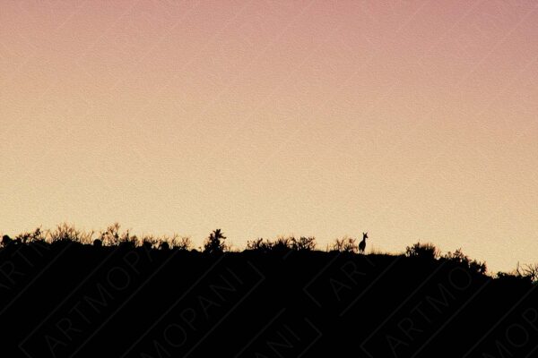 silhouette of an antelope on a hill