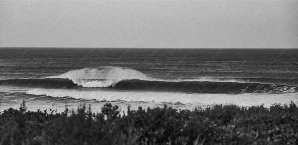 barreling waves with an offshore wind