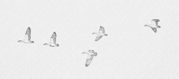 flying geese with a sketched effect