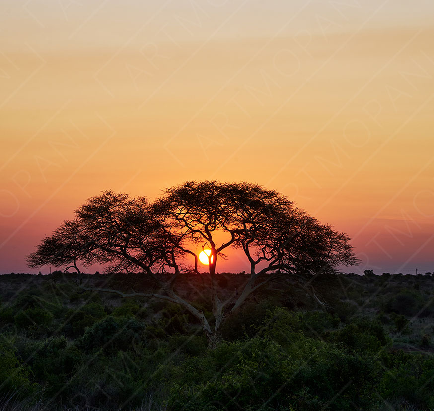 Colourful African Sunset