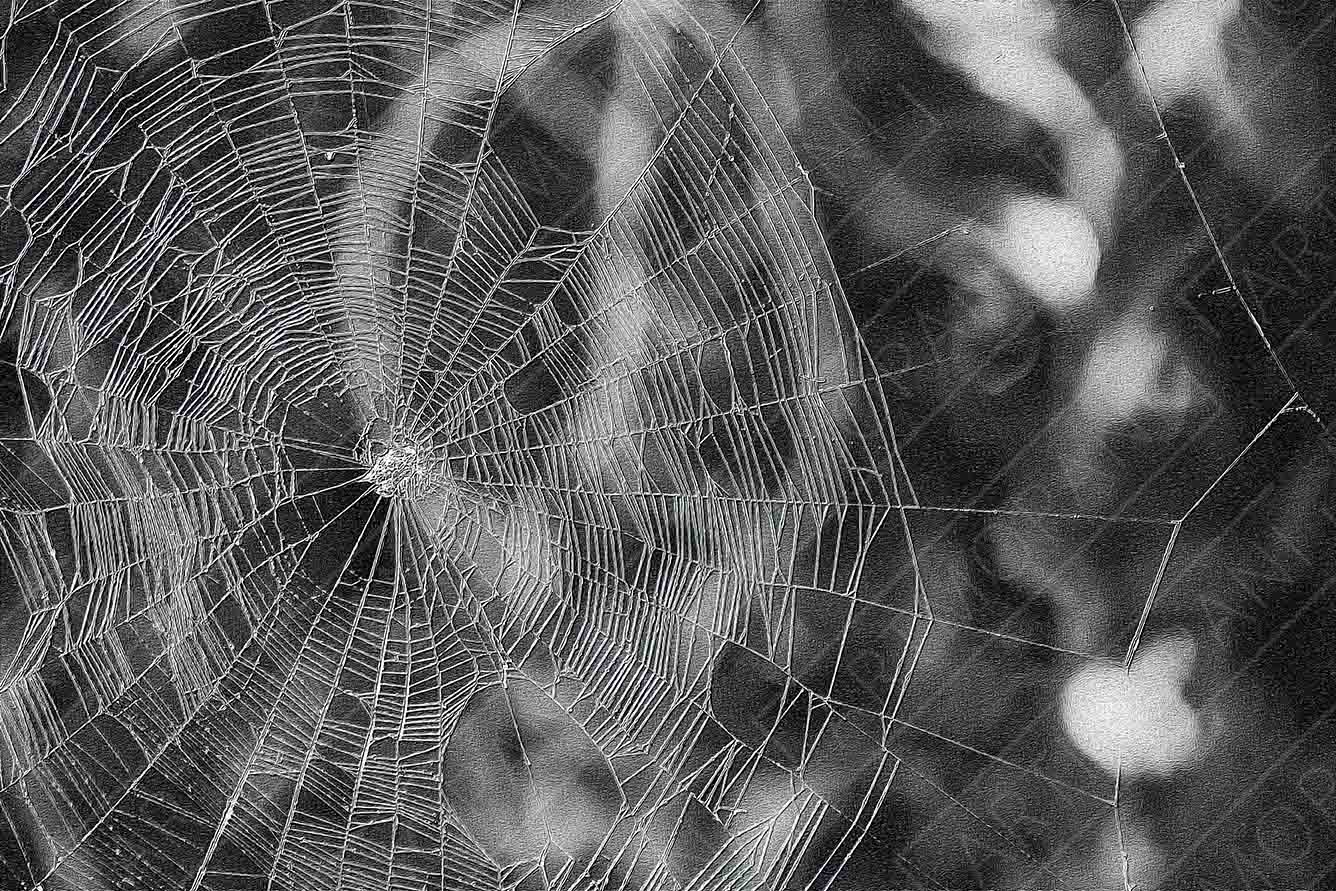 Spiderweb Patterns